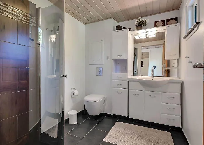 בית נופש C11359-tarm-leopardvej-15 Tarm